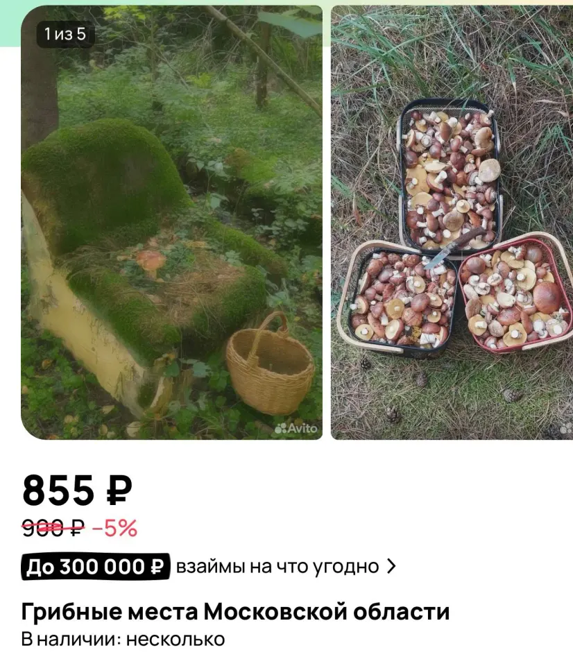Фото из поста