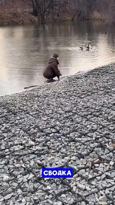 Обложка видео