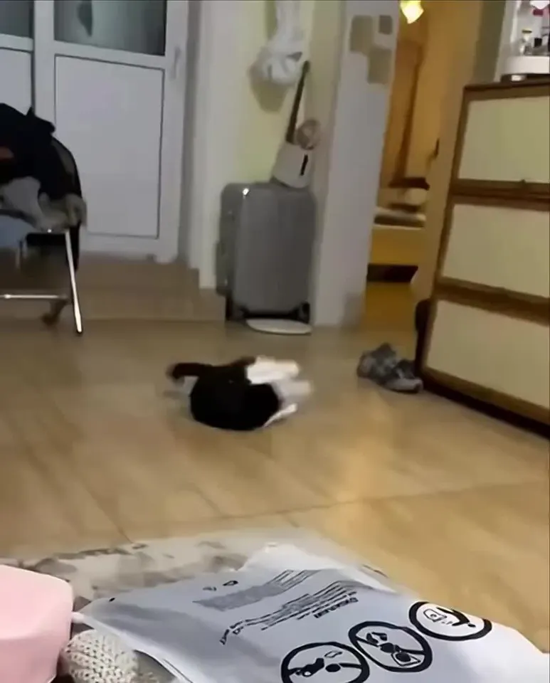Обложка видео