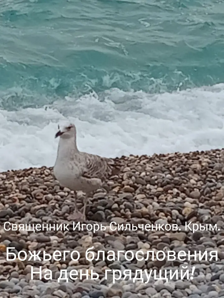 Фото из поста