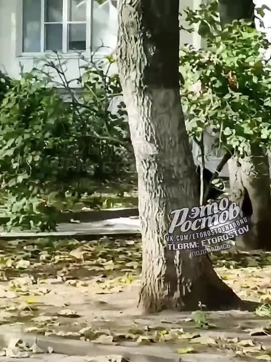 Обложка видео