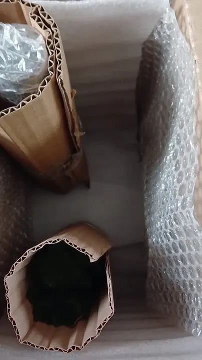 Обложка видео