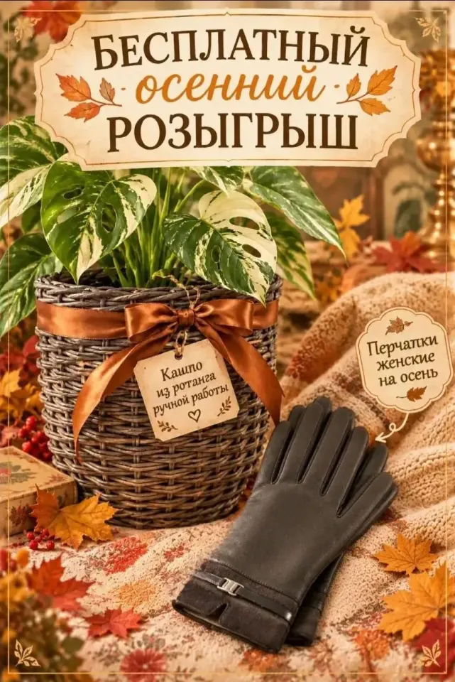Фото из поста