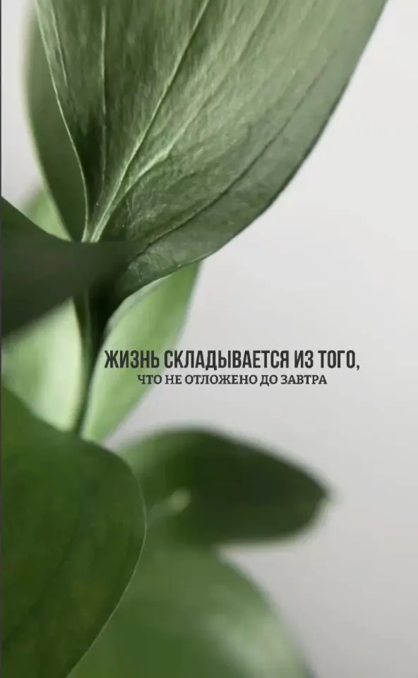 Фото из поста
