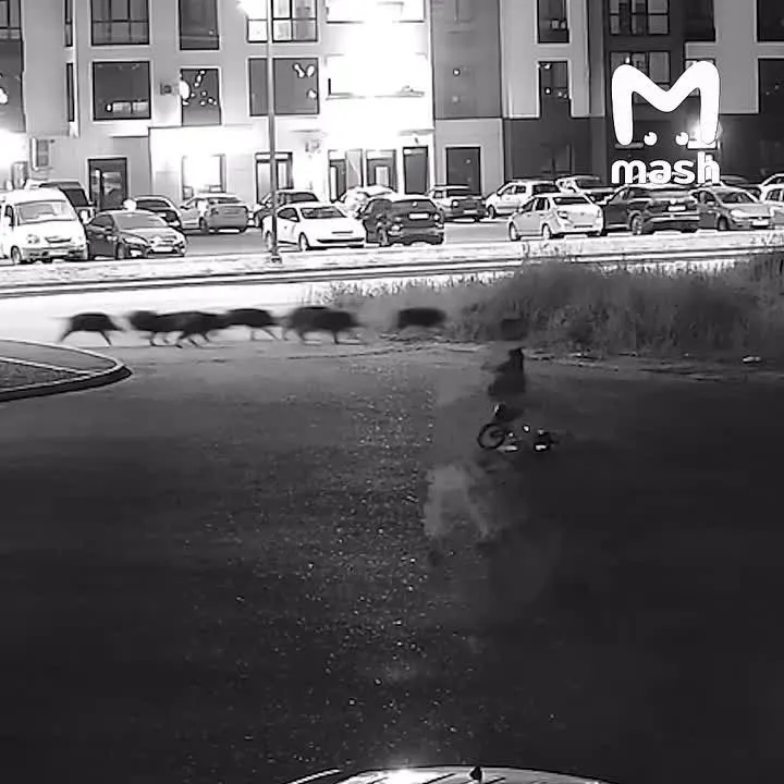Обложка видео