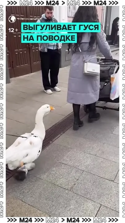 Обложка видео