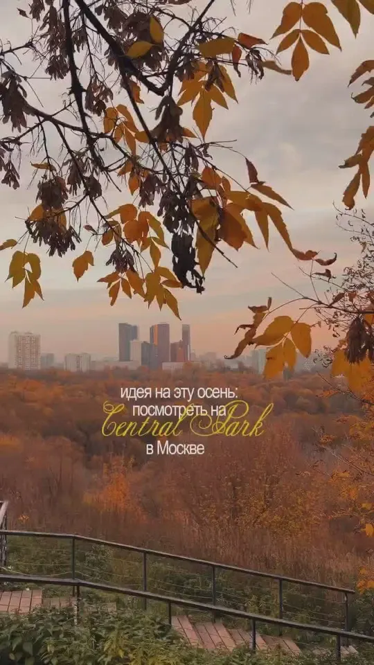 Обложка видео