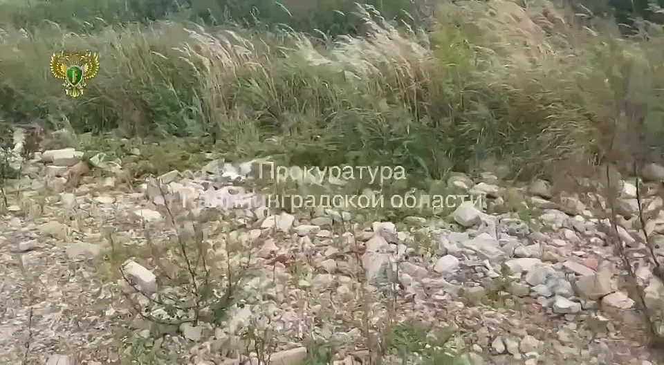 Обложка видео
