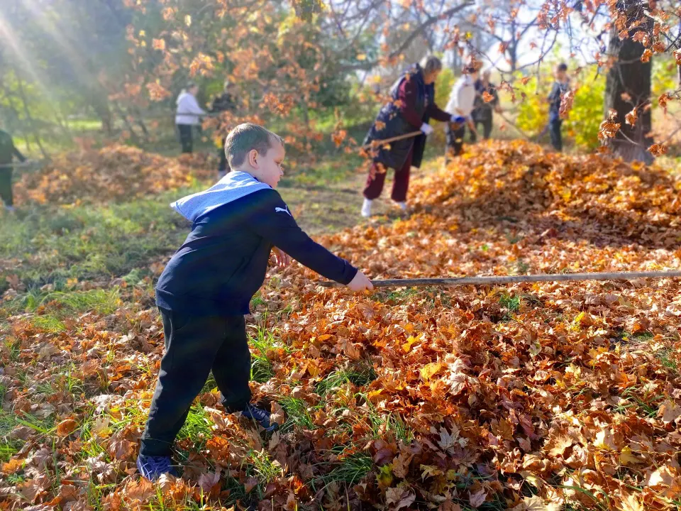 Фото из поста