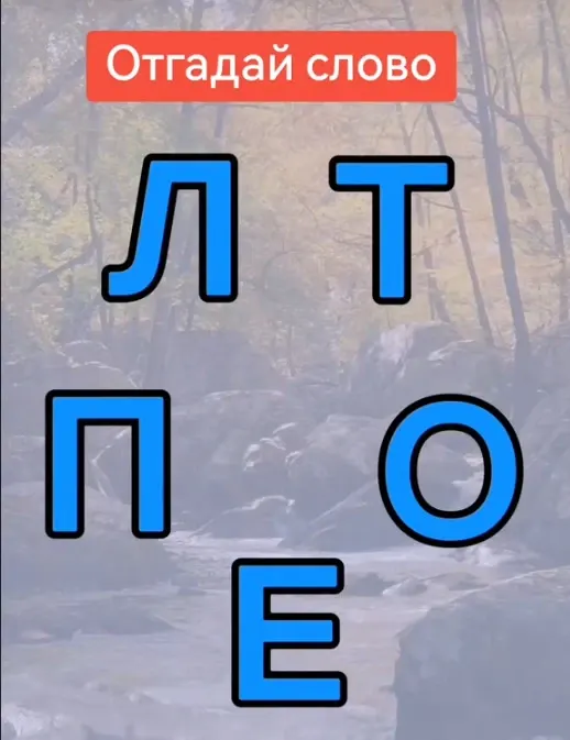 Фото из поста