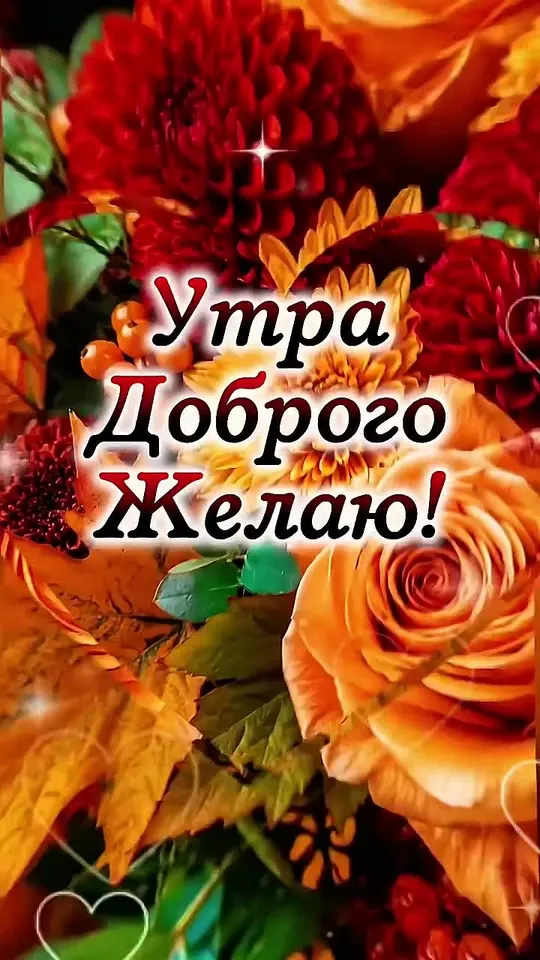 Обложка видео