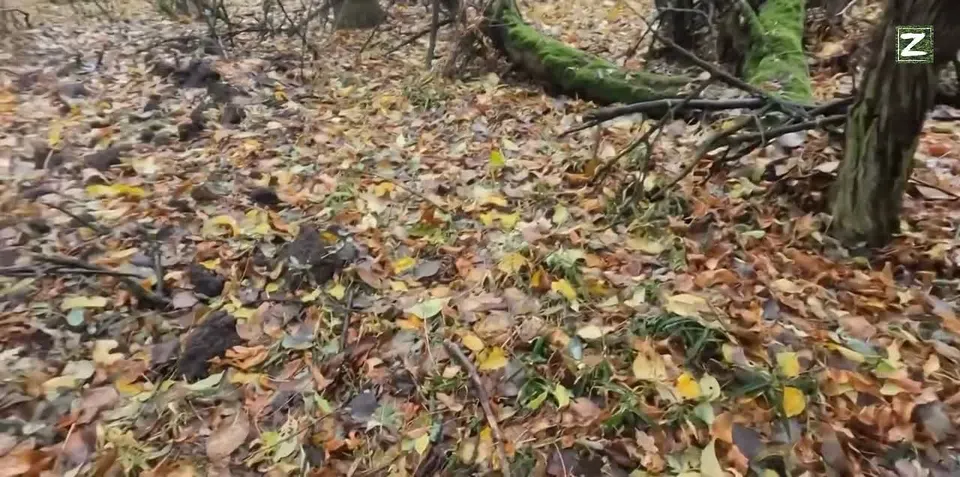 Обложка видео