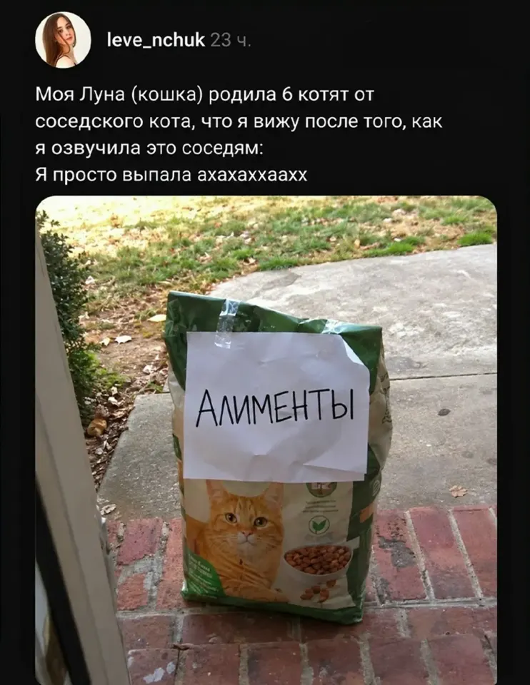 Фото из поста