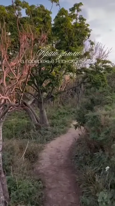 Обложка видео