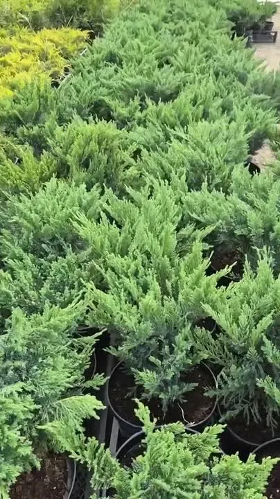 Обложка видео