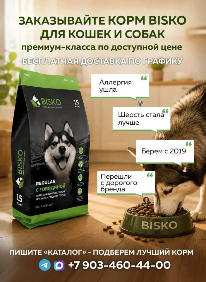 Фото из поста