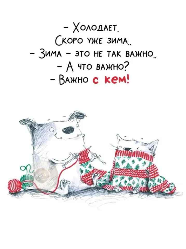 Фото из поста
