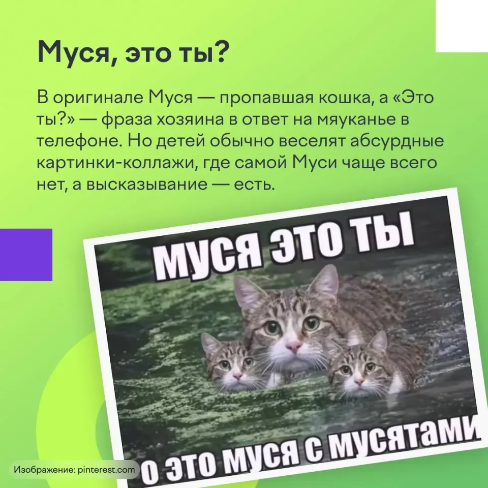 Фото из поста