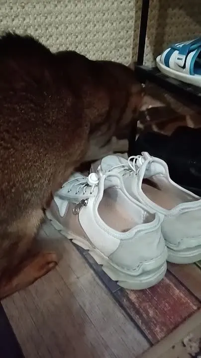 Обложка видео