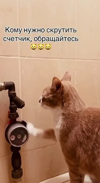 Обложка видео