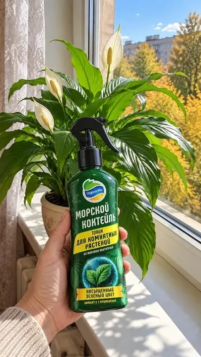 Фото из поста